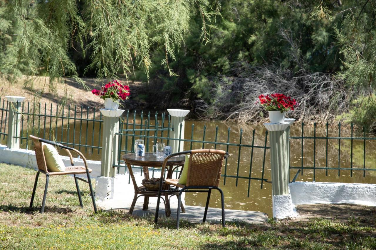 לפקימי Zervos Apartments Bouka מראה חיצוני תמונה