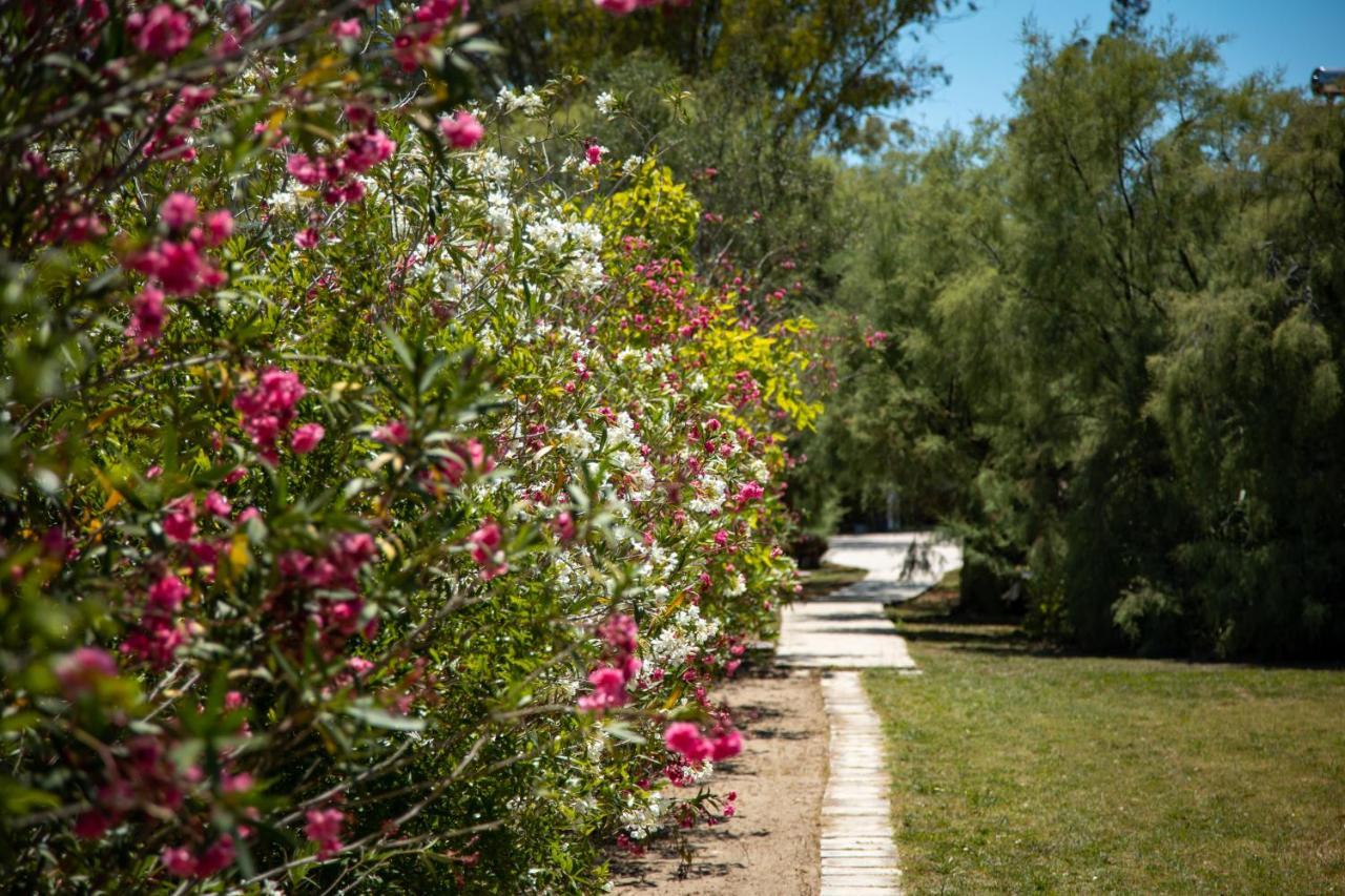 לפקימי Zervos Apartments Bouka מראה חיצוני תמונה